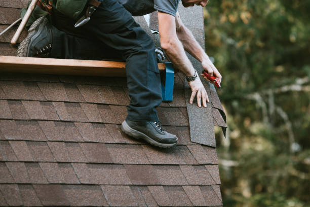 Best Roof Gutter Cleaning  in Walnut Cove, NC